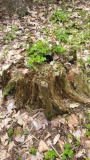 5_vylet_2023